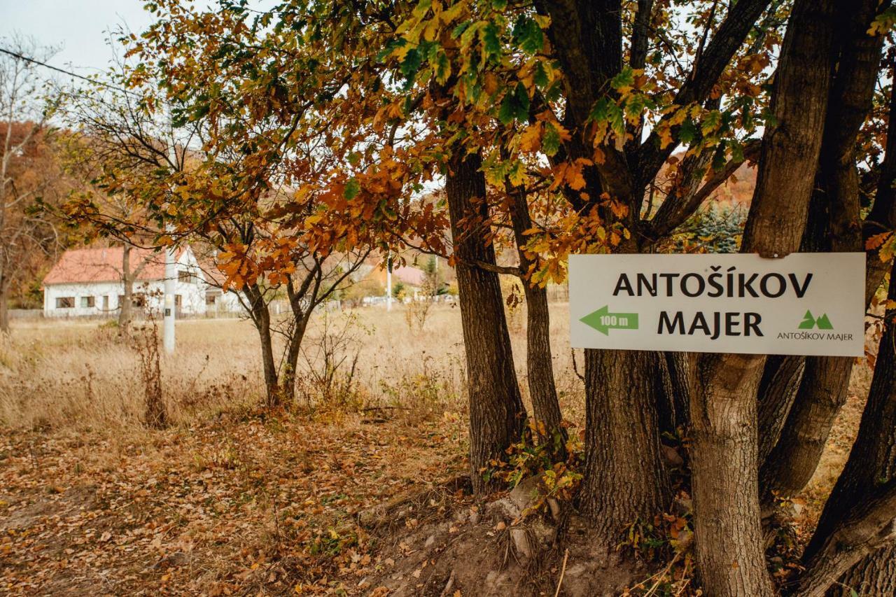 Antosikov Majer Guest House Banska Stiavnica Exterior photo